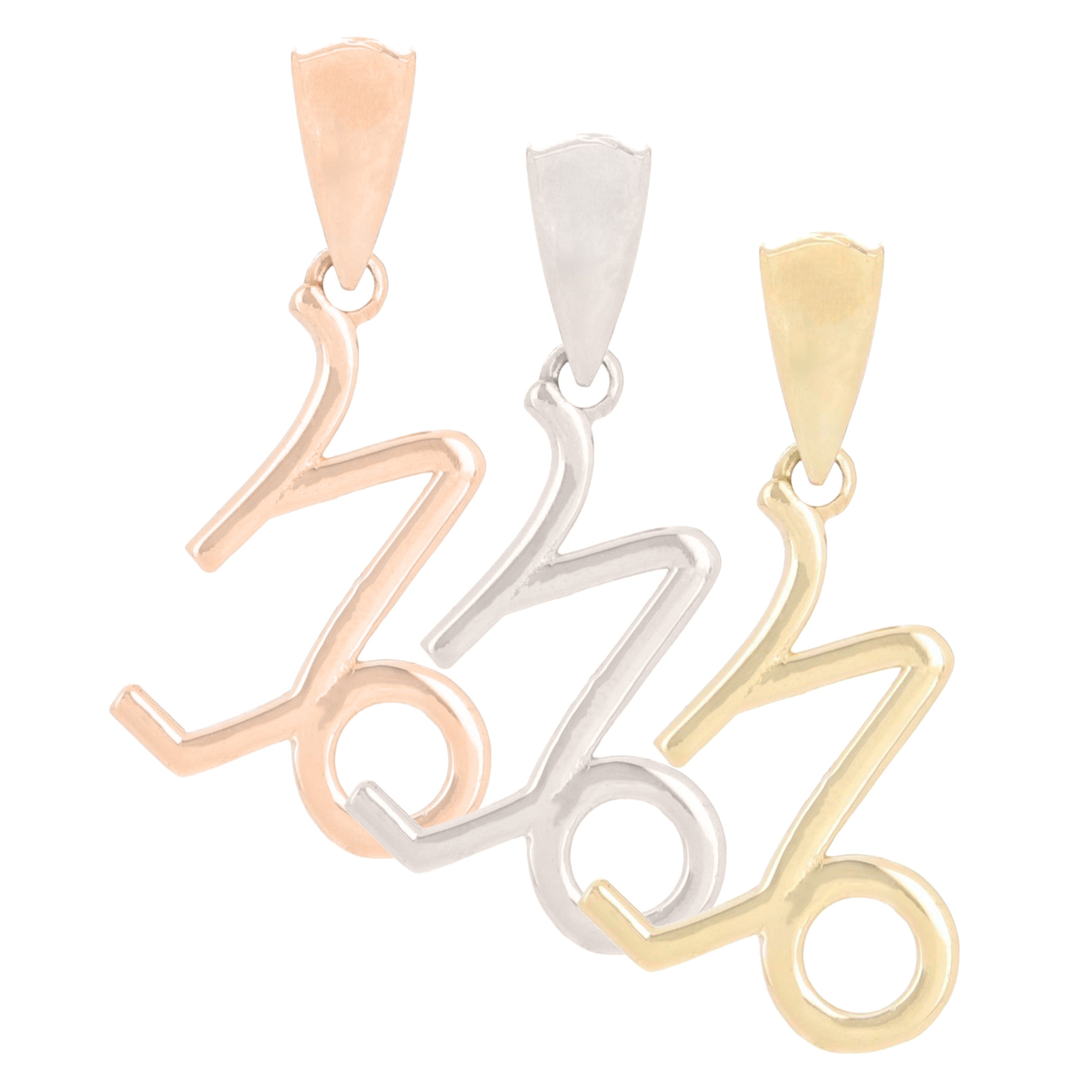 14k White Gold Capricorn Zodiac Sign Charm Pendant - Capricorn,White