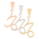 14k White Gold Capricorn Zodiac Sign Charm Pendant - Capricorn,White