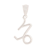 14k White Gold Capricorn Zodiac Sign Charm Pendant - Capricorn,White