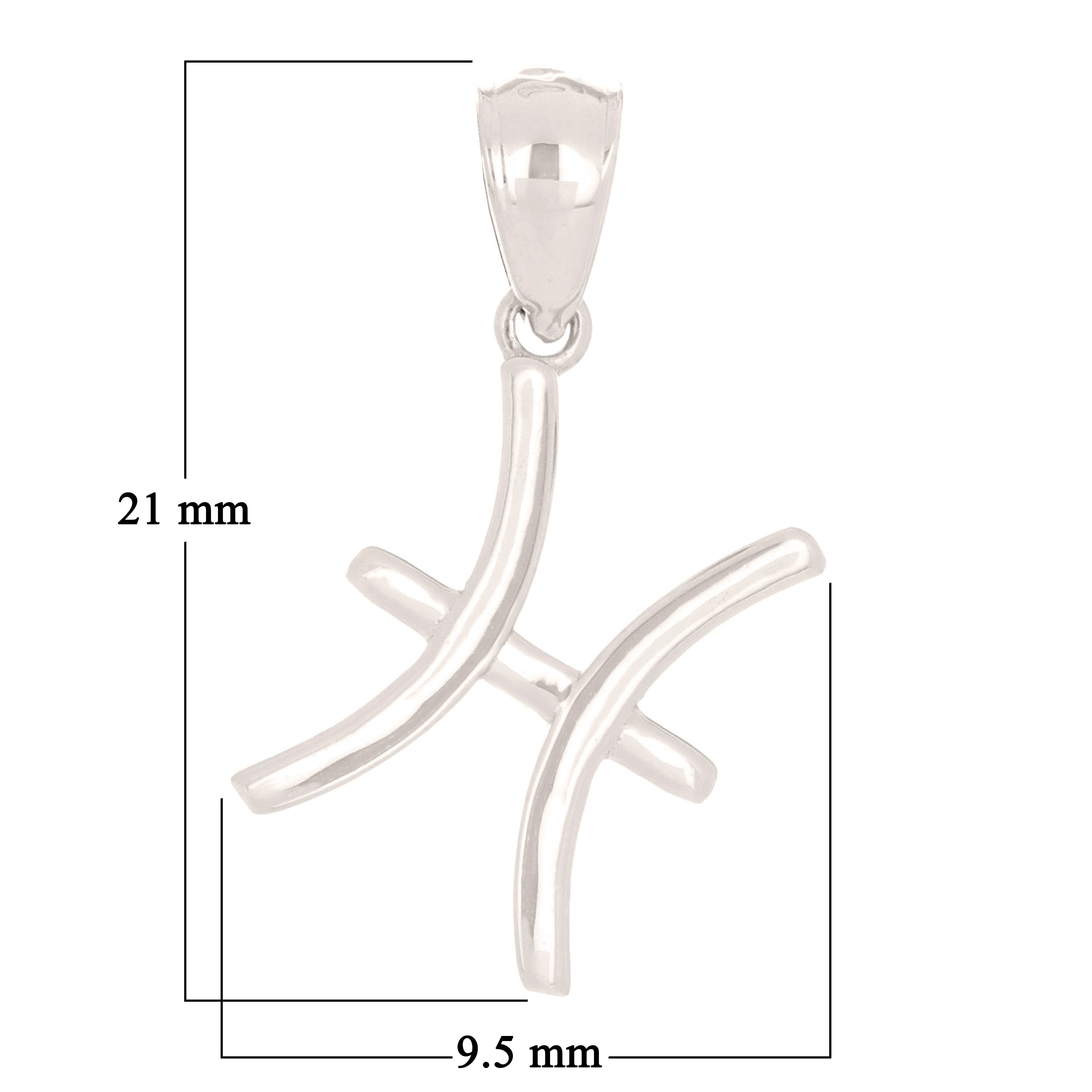14k White Gold Pisces Zodiac Sign Charm Pendant - Pisces,White