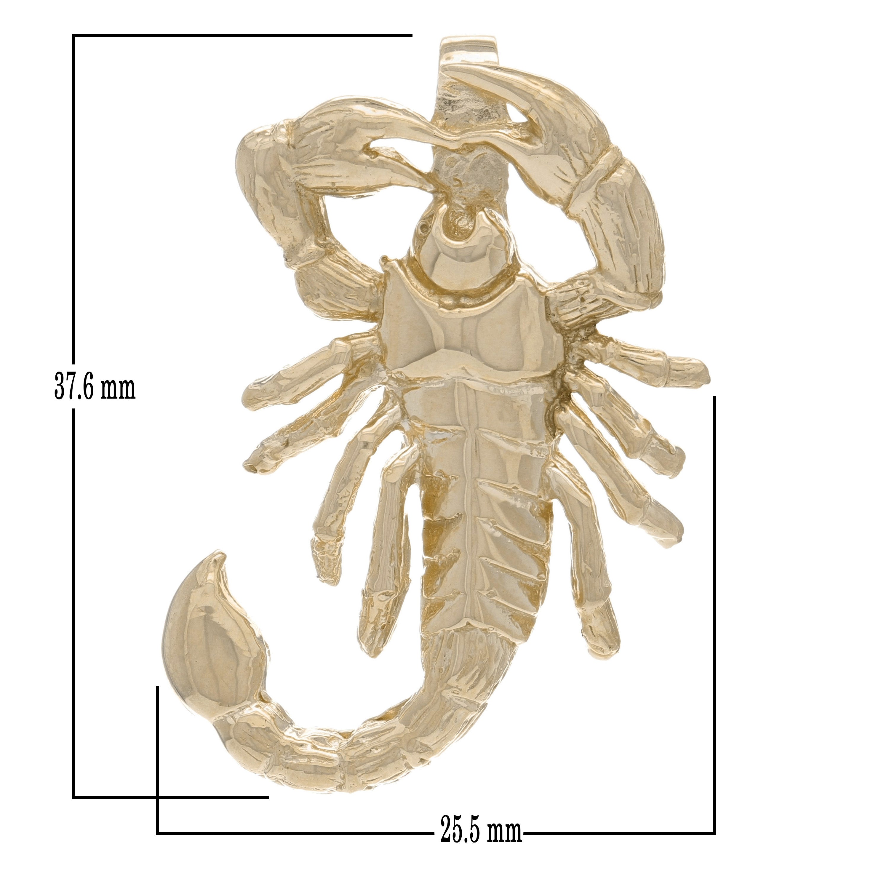 14k Yellow Gold High Polish Scorpion Artisan Charm Pendant - Yellow