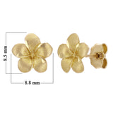 14k Yellow Gold Hawaiian Plumeria Flower Stud Earrings - Yellow