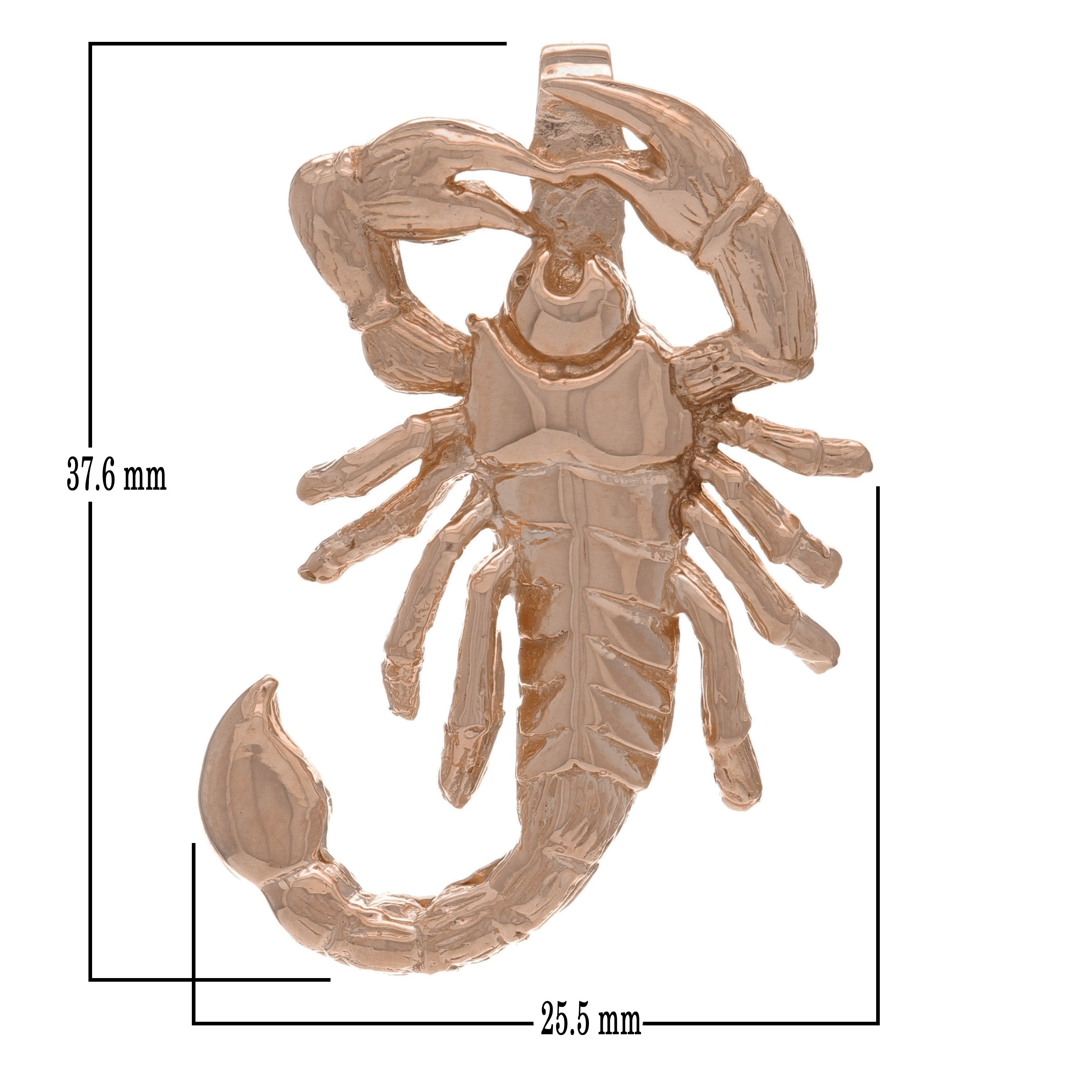 14k Rose Gold High Polish Scorpion Artisan Charm Pendant - Rose