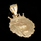 14k Yellow Gold Solid Diamond Cut Head Face Lion King Pendant 1.3" 2.7 grams - Small