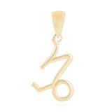 14k Yellow Gold Capricorn Zodiac Sign Charm Pendant - Capricorn,Yellow