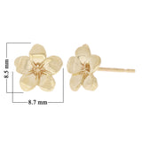 14k Yellow Gold Hawaiian Plumeria Flower Stud Earrings Medium - Medium