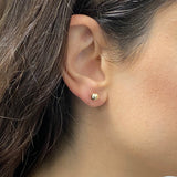 Italian 14k Yellow Gold High Shine Classic Round Bead Ball Stud Earrings 6mm - 6 mm