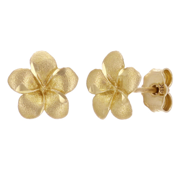 14k Yellow Gold Hawaiian Plumeria Flower Stud Earrings - Yellow