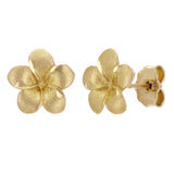 14k Yellow Gold Hawaiian Plumeria Flower Stud Earrings - Yellow