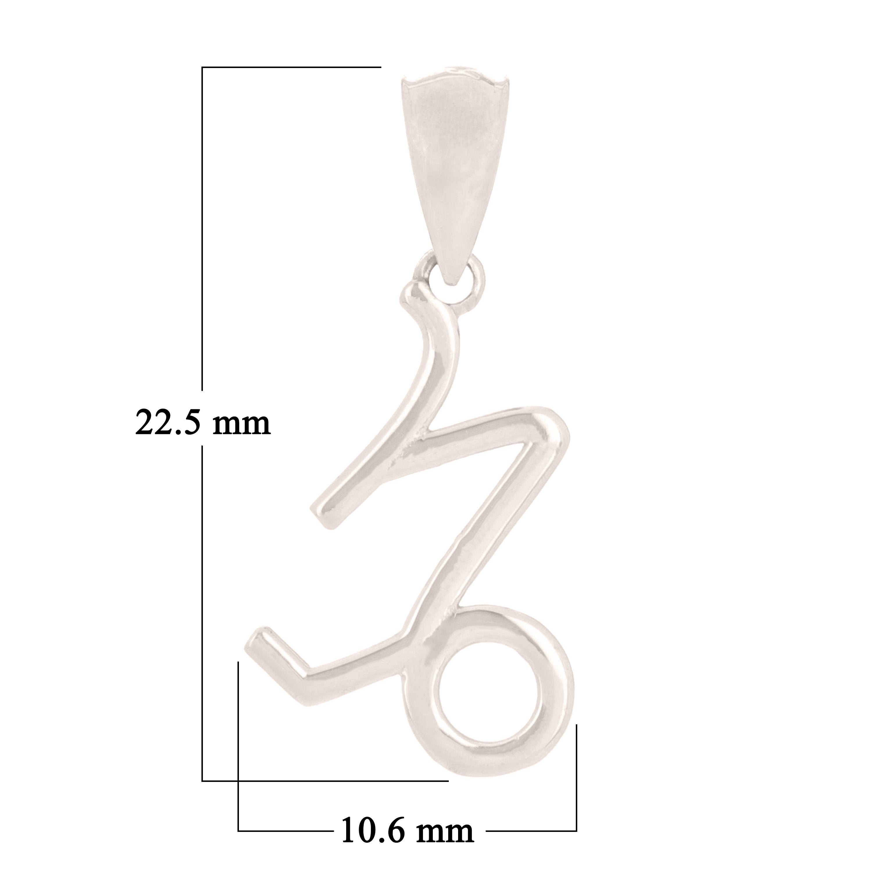 14k White Gold Capricorn Zodiac Sign Charm Pendant - Capricorn,White
