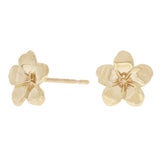 14k Yellow Gold Hawaiian Plumeria Flower Stud Earrings Medium - Medium